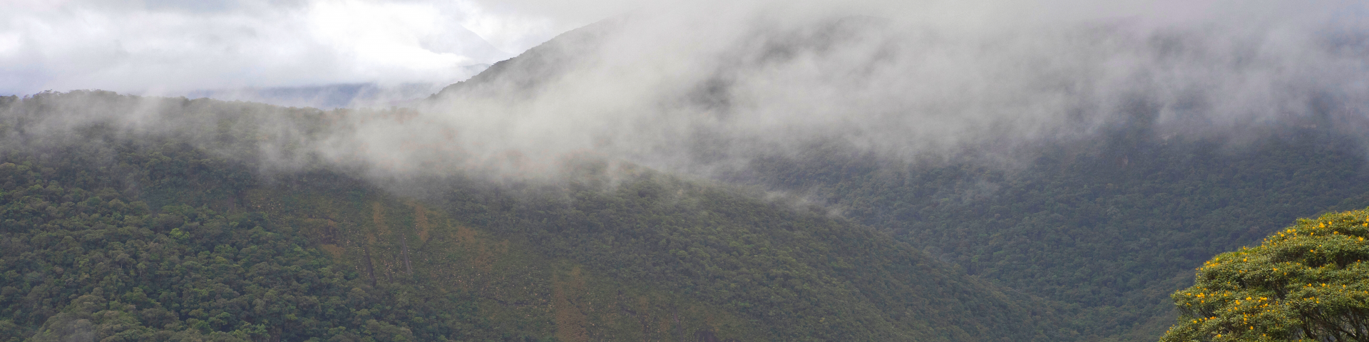 Vista da Serra do Mar