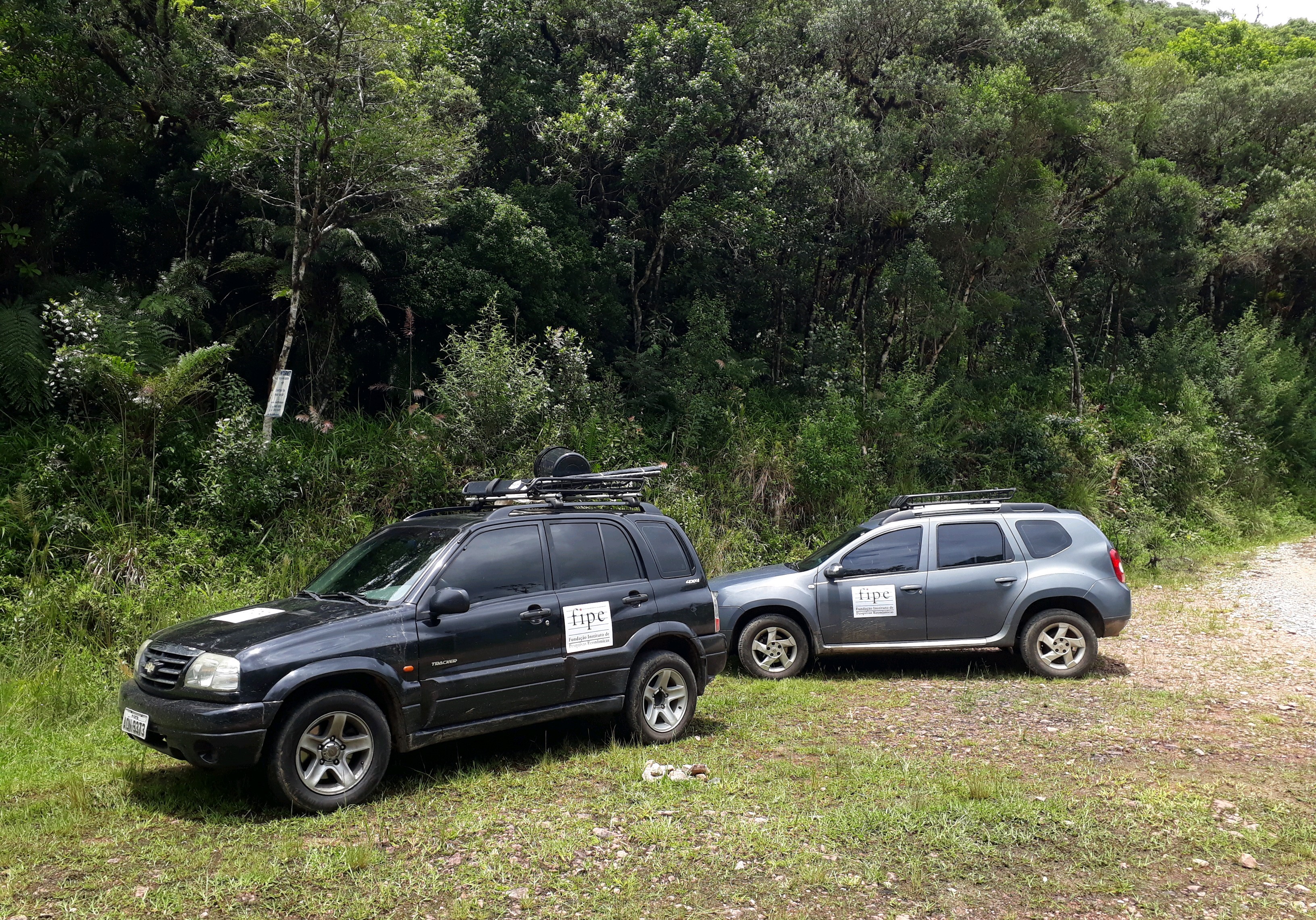 Carros da Fipe em local de estudo