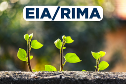 EIA/RIMA