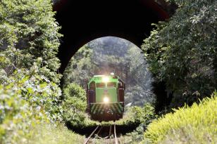 Ano da Nova Ferroeste é marcado pela aprovação da sociedade e divulgação do edital