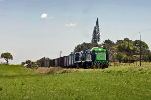 Avanços no licenciamento e rodadas internacionais marcam ano da Nova Ferroeste