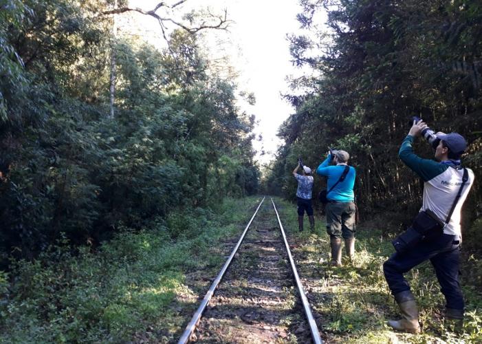 Biólogos da Fipe observando as aves